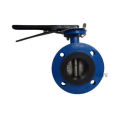 Wcb/Cast Iron/Cf8m/Cf8/Cf3/Cf3m Wafer Type Double Triple Eccentric Metal Seal Butterfly Valve